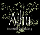 [Aihu, Inc. logo]