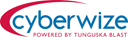 [CyberWize.com logo]