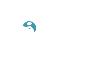 novae-logo