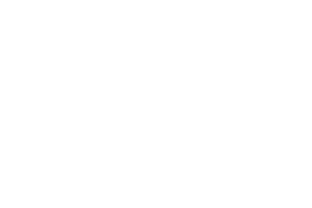 primerica-white