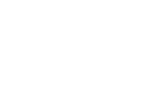 regal-holdings